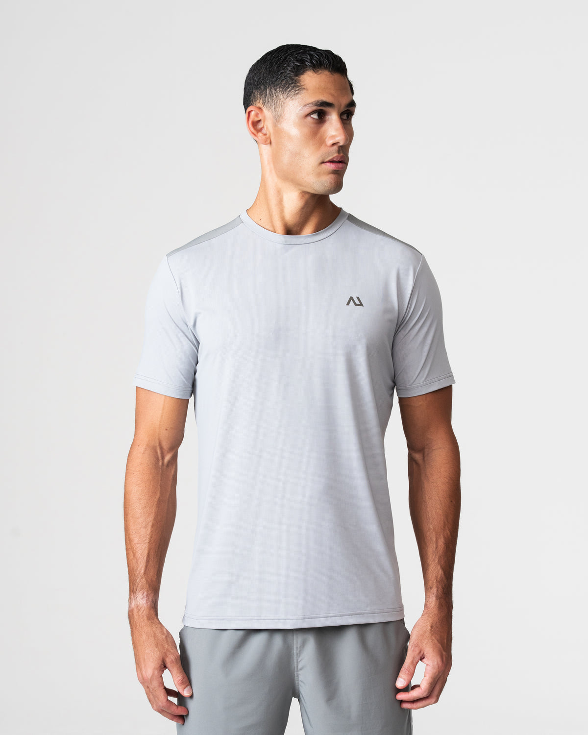 SRG T-Shirt in grey, front view on model