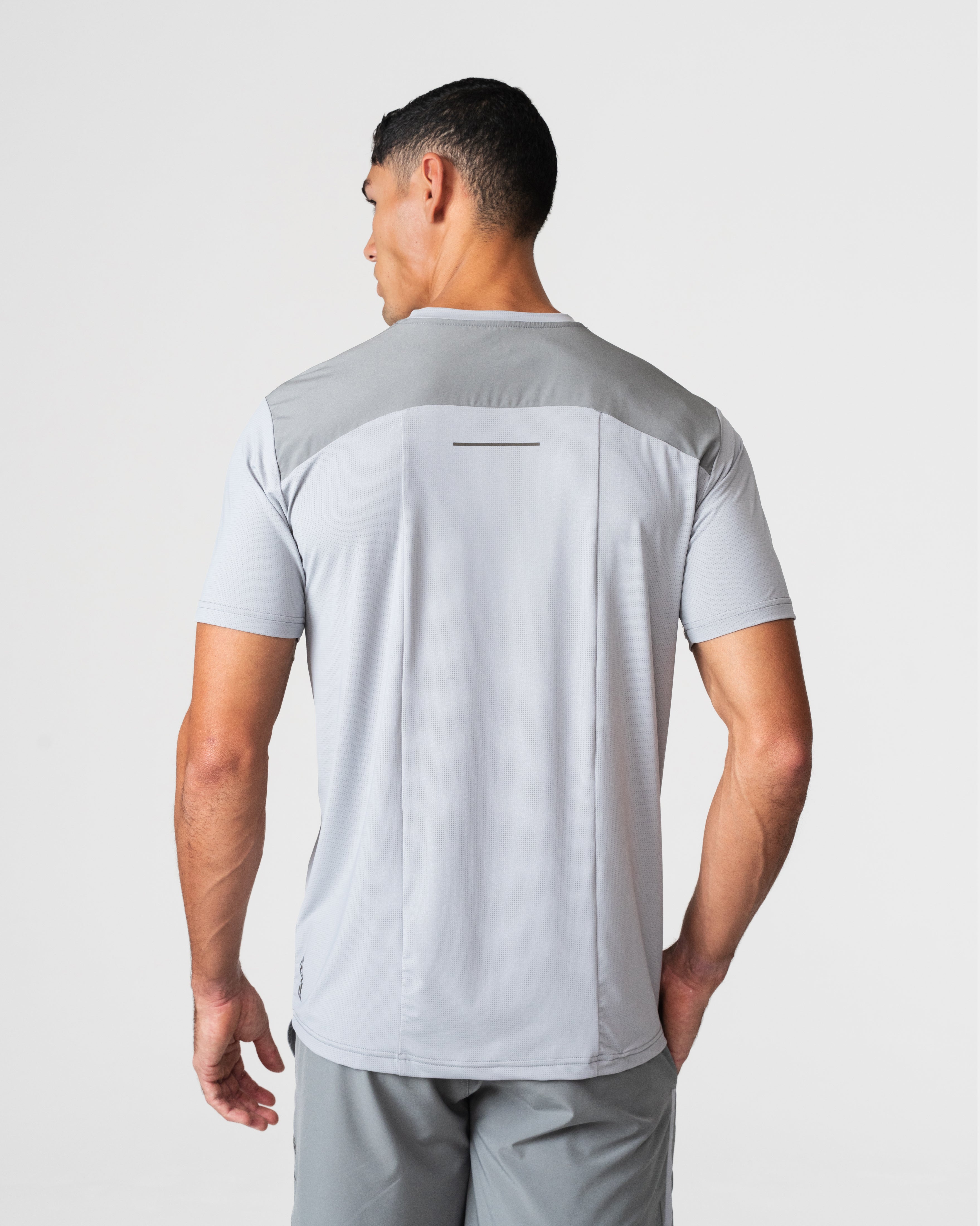 SRG T-Shirt in grey, back view on model